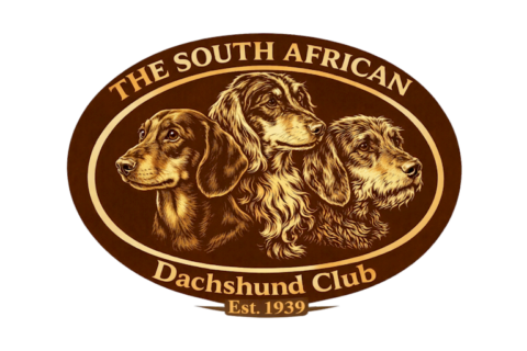 Dachshund Club South Africa